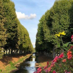 Meet your Posher, Manuela